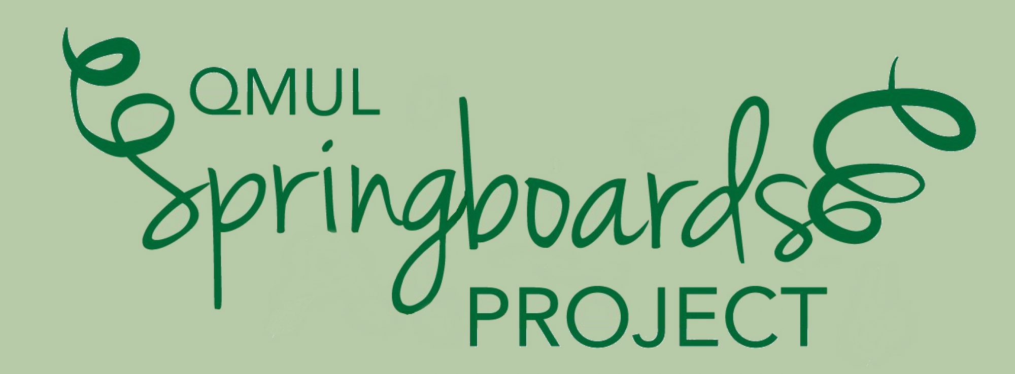 Springboards Project